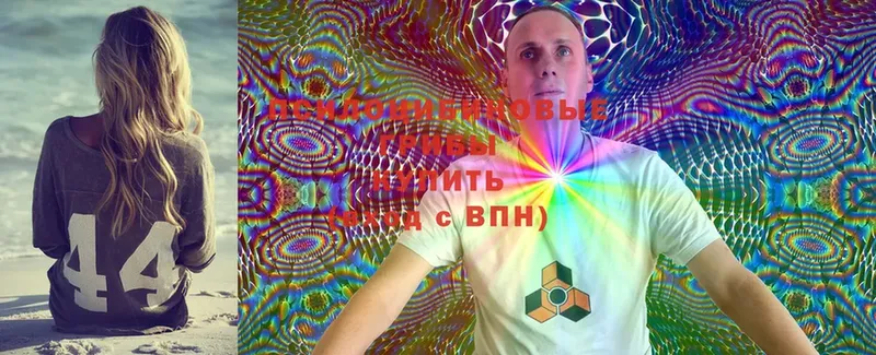 Псилоцибиновые грибы Cubensis  сколько стоит  Карталы 